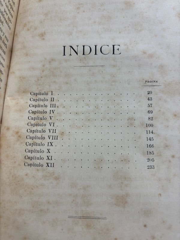 Libro antiguo sobre la historia del río de la Plata - imagen 6