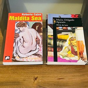 Libros "Maldita Sea" de Roberto Cyjon y "Alivio de Luto" de Mario Delgado Aparaín - imagen 1