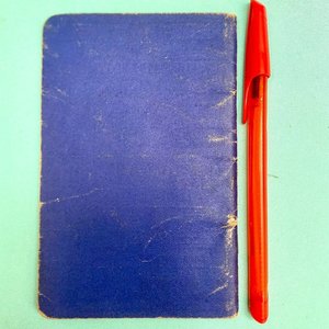 Libreta Cooper para Criadores - Almanaque y Cuaderno de Apuntes Obsequio William Cooper & Nephews Ltda. Uruguay 1924 - imagen 12