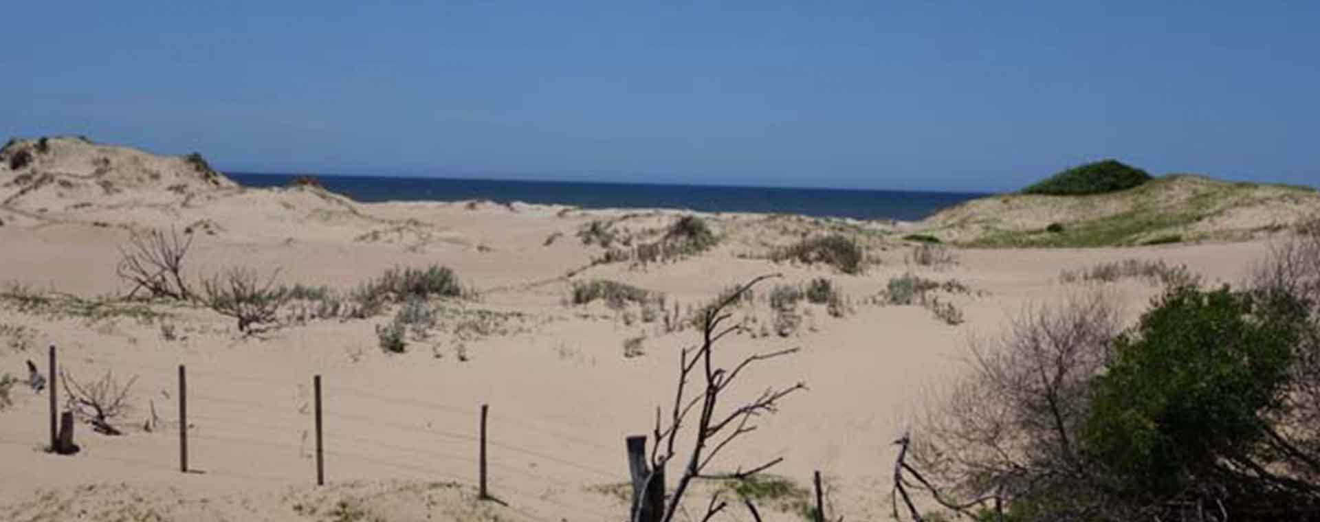 24 solares en Vuelta del Palmar, Rocha (en un solo padrón) primera linea del mar - Propiedades de playa