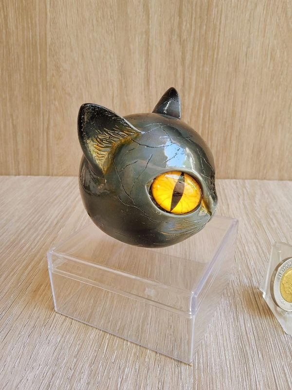 Cabeza de Gato con Ojos de Vidrio y Medalla - imagen 2