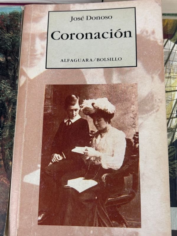 10 libros de Novelas y Clásicos de Literatura en Español - imagen 3