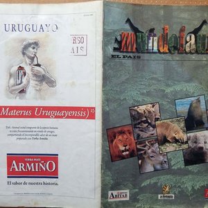 Lote siguiente: Álbum de Figuritas Completo "Mundofauna" El País 1997