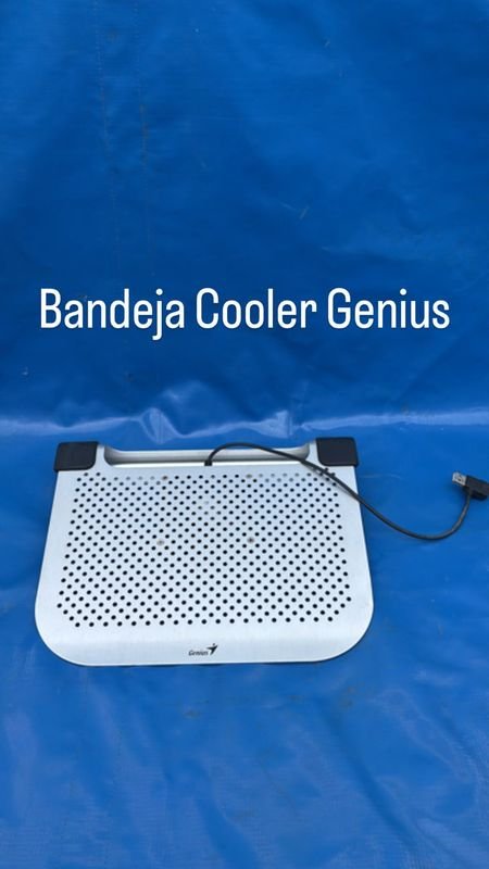 Lote anterior: BANDEJA COOLER GENIUS - Refrigerador portátil