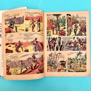 Lote de 4 Cómics Clásicos de Editorial Novaro: Turok, Gene Autry, Bat-Man y Tarzán (Años 70) - imagen 5