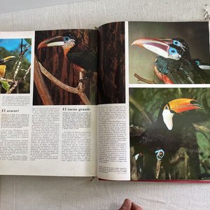 Enciclopedia de los Animales - Volumen Cuarto - imagen 10