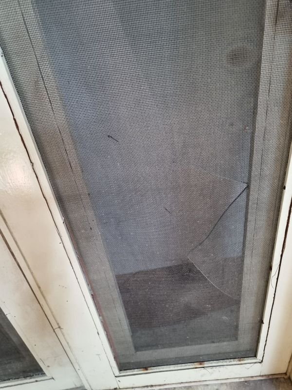 Item 862893 - Image 4