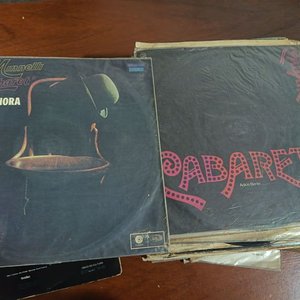 Lote de Discos de Vinilo Varios Artistas y Géneros - imagen 6