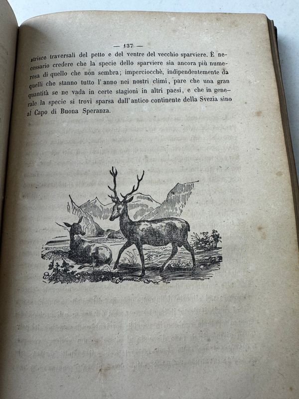 Libro antiguo de historia natural con ilustraciones - imagen 4