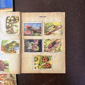 Álbumes "Vida y Color" Colección Enciclopédica Ilustrada - imagen 16