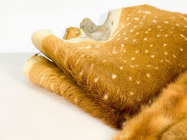 Pieles de caza y accesorios de moda - imagen 2