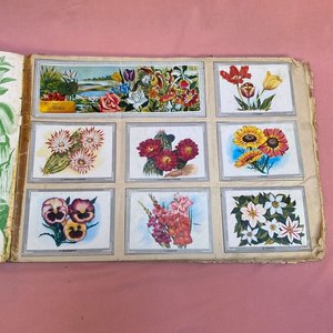 Álbum de Figuritas "Vida y Color" de Álbumes Españoles S.A. - imagen 4