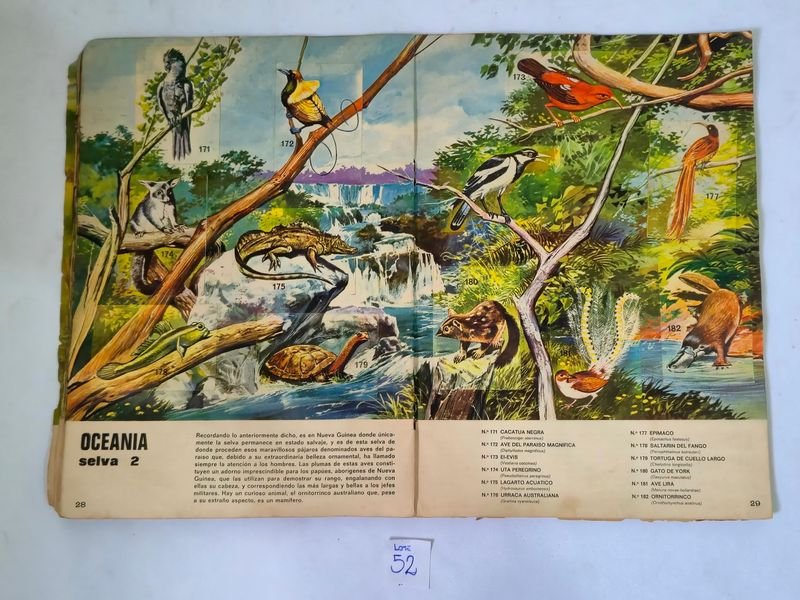 Item 844753 - Image 14