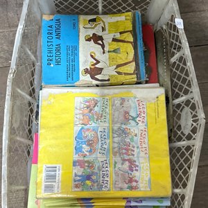 Lote anterior: Revistas 