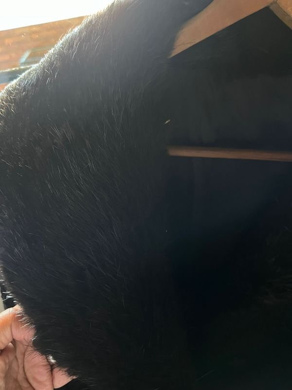 Item 873972 - Image 0