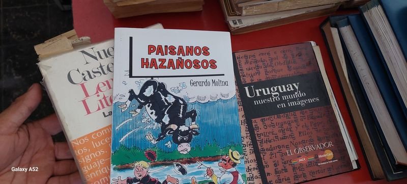 Item 847174 - Image 3