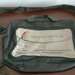 Bolsón Verde, Cartuchera, Soporte Madera y Cargador 12V - imagen 4