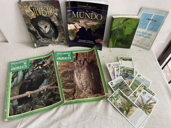 Lote de Libros y Tarjetas sobre Naturaleza, Aves y Geografía de Uruguay