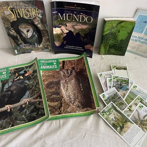 Lote de Libros y Tarjetas sobre Naturaleza, Aves y Geografía de Uruguay - imagen 1
