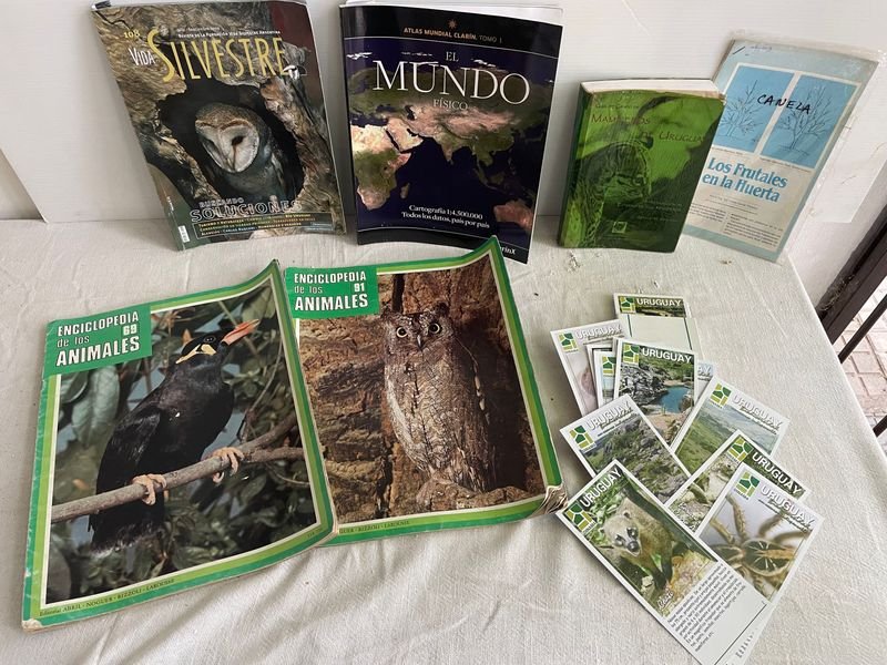 Lote de Libros y Tarjetas sobre Naturaleza, Aves y Geografía de Uruguay