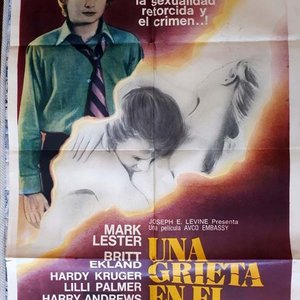 Lote anterior: Poster Original Cine "Una Grieta en el Techo" (1972) - Mark Lester, Britt Ekland