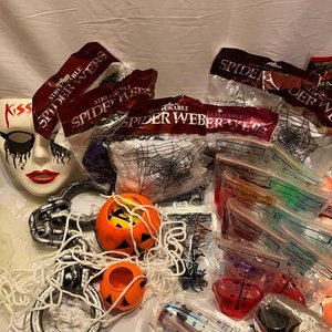 Lote anterior: Lote Variado de Artículos de Halloween y Decoración
