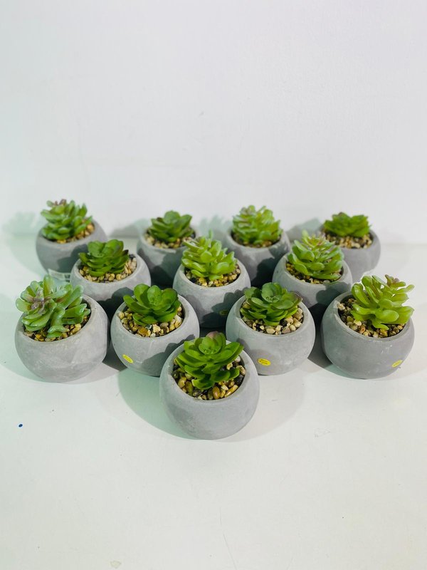 Lotes de macetas con plantas artificiales - imagen 3