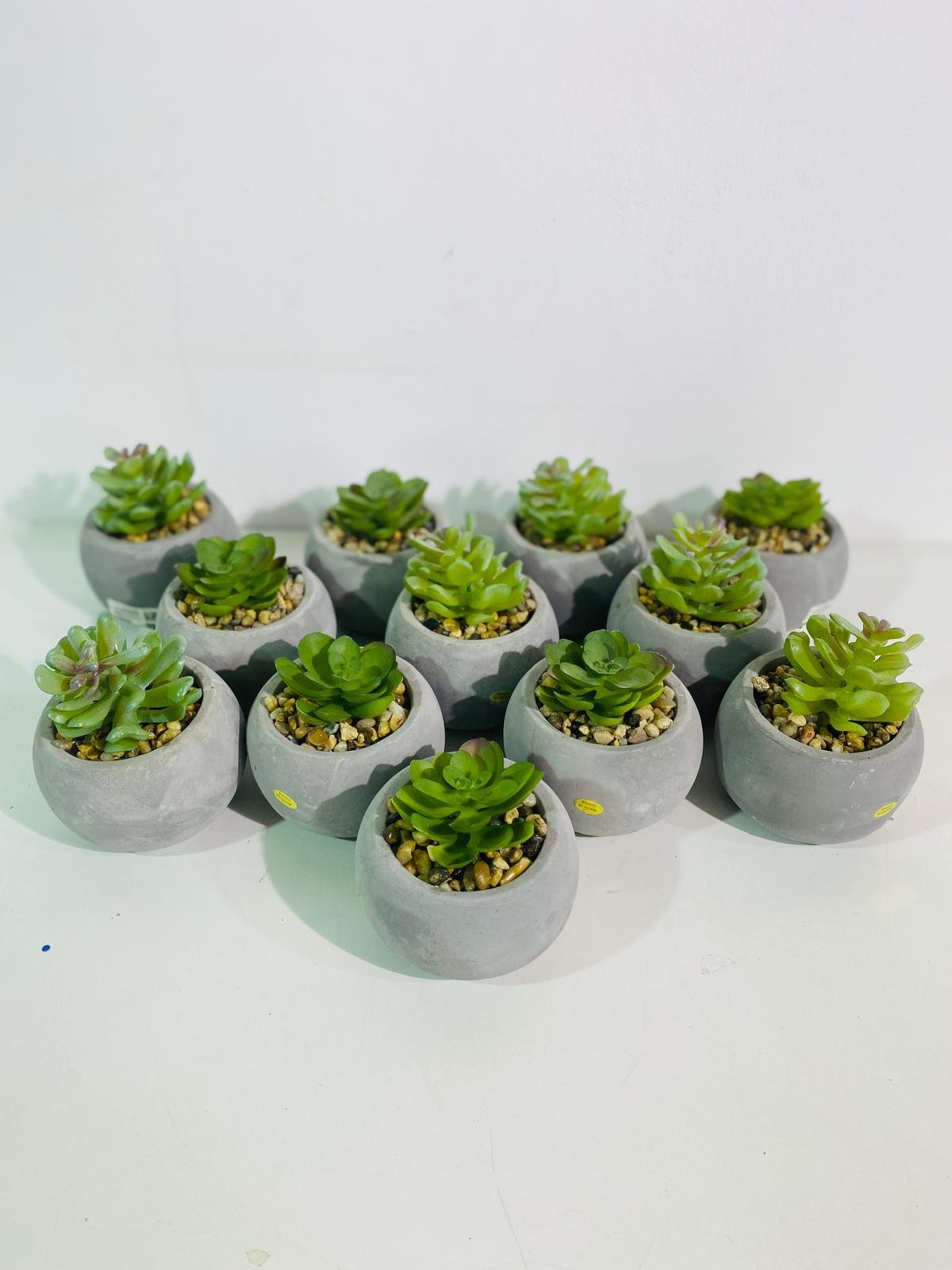 Item lote-x12-macetas-con-planta-artificial - Image 2