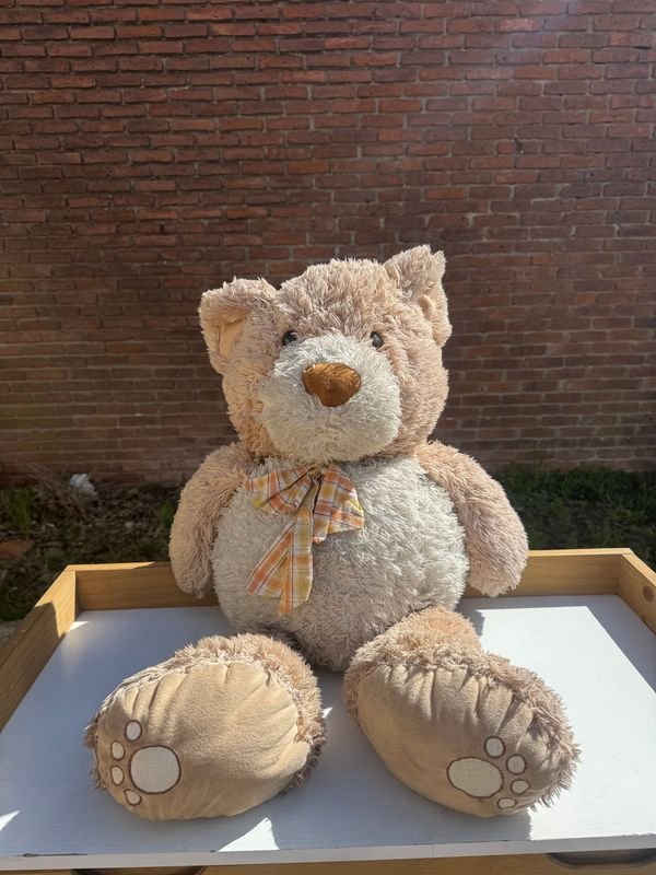 Peluche Oso de Peluche Beige con Detalles en Costuras - imagen 1