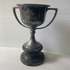 Trofeo Windsor Plateado de Colección 1931 - imagen 2