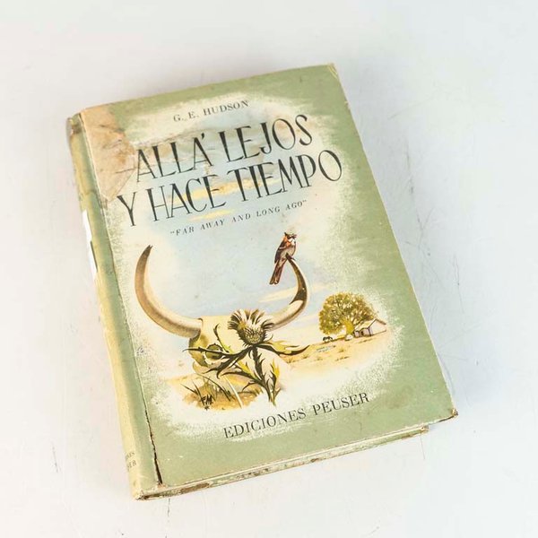 Allá Lejos y Hace Tiempo por G.E. Hudson - Libro Tapa Dura - imagen 1
