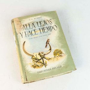 Lote anterior: Allá Lejos y Hace Tiempo por G.E. Hudson - Libro Tapa Dura
