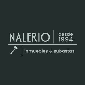 Logo de Fernando Nalerio