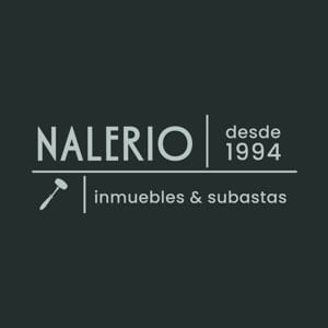 Logo de Fernando Nalerio