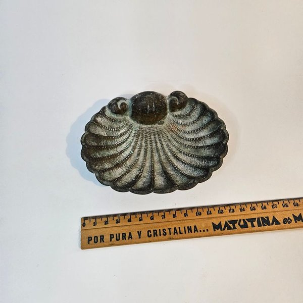 Jabonera de Bronce macizo - Detalles y características