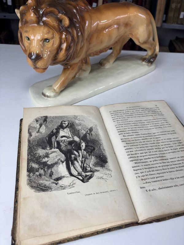 Libro ilustrado español del siglo XIX - imagen 5