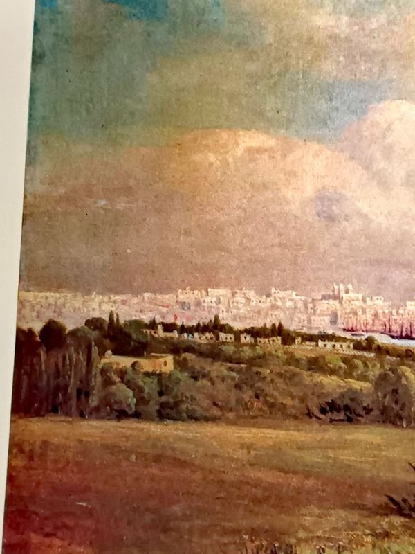 Lámina: Vista de Montevideo (1856) - Alrededores Hospital Vilardebó - imagen 7