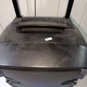 Parlante Amplificado Portátil con Ruedas y Manija - imagen 2