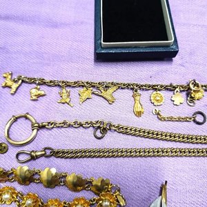 Lote de Prendedores, Pulseras y Dijes Variados - imagen 5