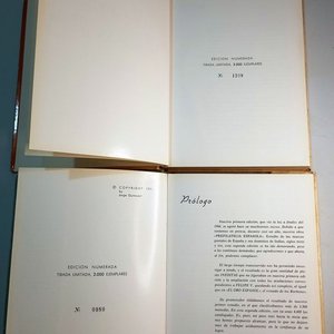 2 Libros "El Oro Español" y "La Plata Española" de Jorge Guinovart, Edición Limitada - imagen 3