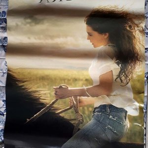 Poster Original "Flicka" (2006) con Alison Lohman - 68 x 101 cm - imagen 2