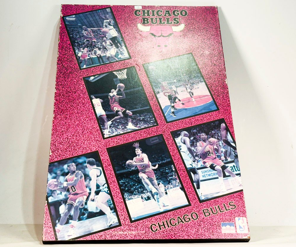 Cuadro de Chicago Bulls - imagen 2