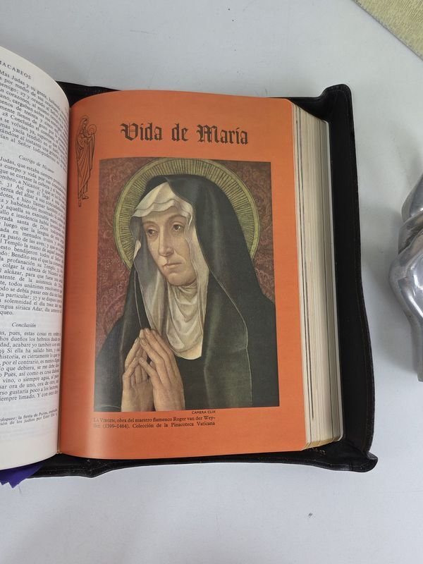 La Sagrada Biblia con ilustraciones religiosas y detalles ornamentales - imagen 6