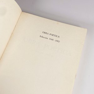 Dos Libros: "L' Cuneo" de Raquel Pereda y "Obra Poética" de Gyula Kosice - imagen 7