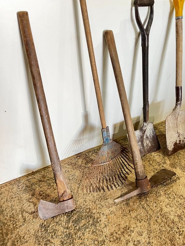 Item 873792 - Image 2