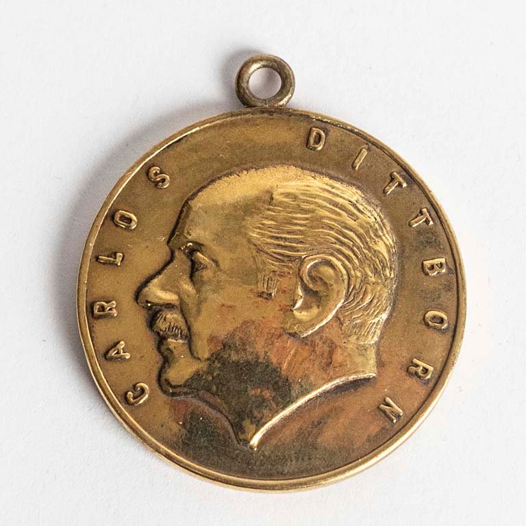 Lote anterior: Medalla de bronce Copa Jules Rimet Campeonato Mundial Chile 1962