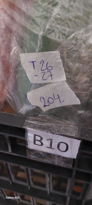 Calzado de Talla 26-27 en Excelente Condición - imagen 3