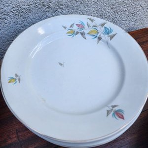 Juego de Vajilla Olmos de Loza Pintada - 53 Piezas - imagen 8