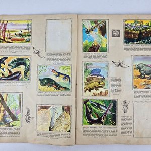 Álbumes de Cromos "Conozcamos el Mundo" y "Razas Humanas" (1960s) - imagen 9