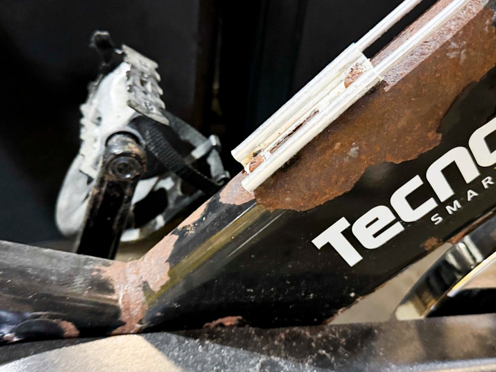 Item 495909 - Image 4